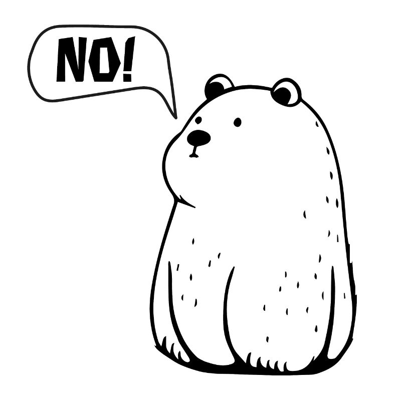 TOUT simplement NON ! Drôle d’ours qui dit NON