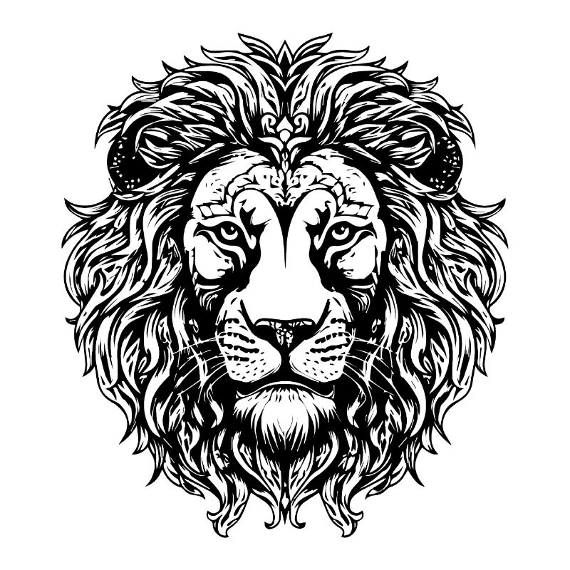 Lion Lion Head Predator