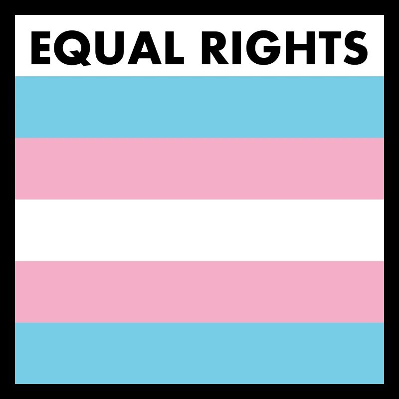 Equal rights - transgender flag - trans pride