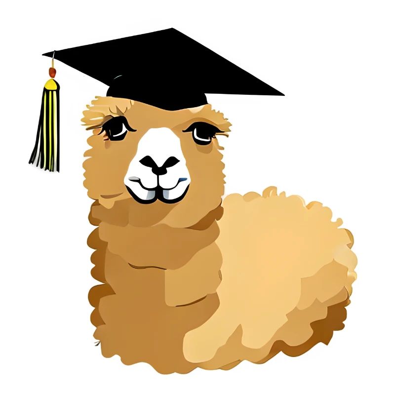 Bachelor Alpaka Studium Absolvent Schulabschluss