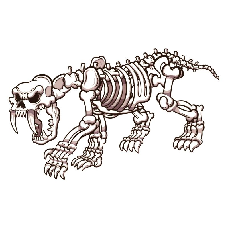 Sabertooth Tiger Skeleton