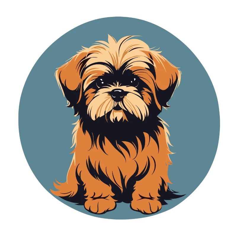 Lhasa apso Dog Portrait Image