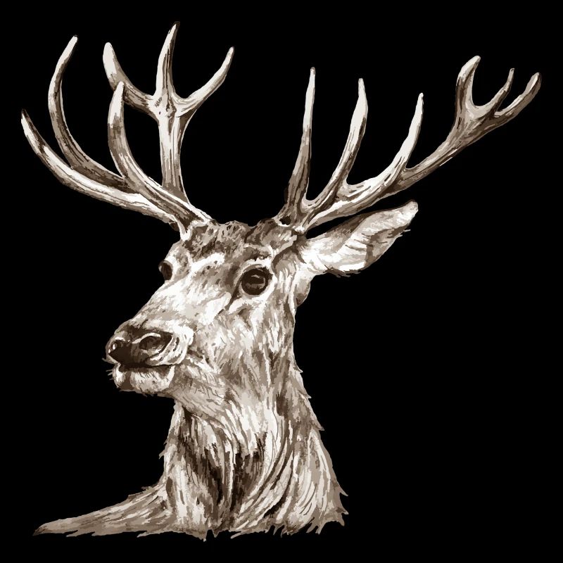 Cerf