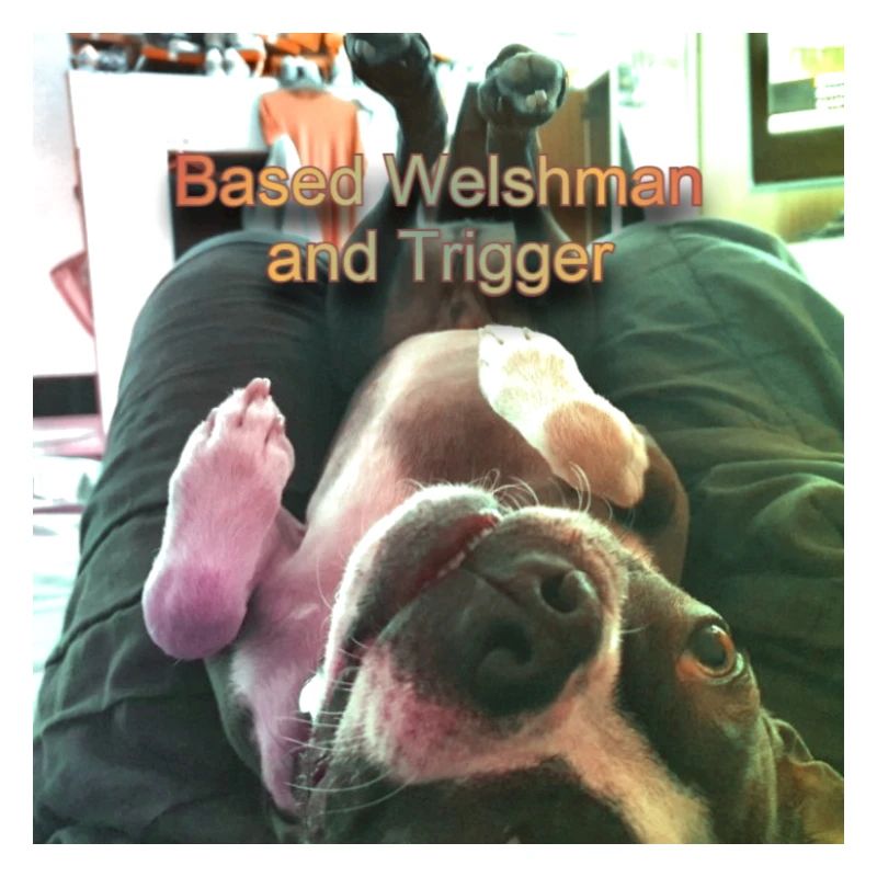 Trigger upside down text