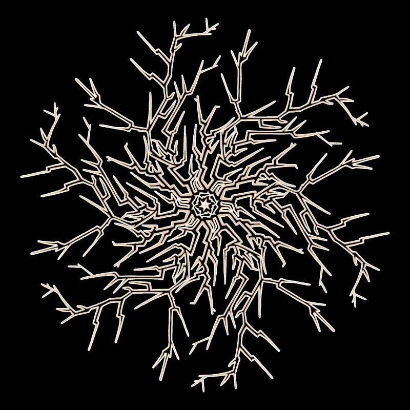 Soleil Arbre