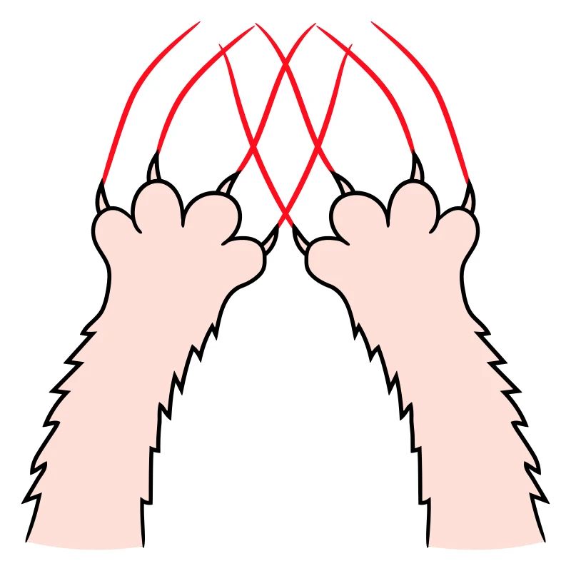 Chats, Griffes, Pattes, Pattes, Griffes, Griffures, Rayures