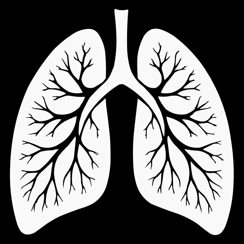 lung