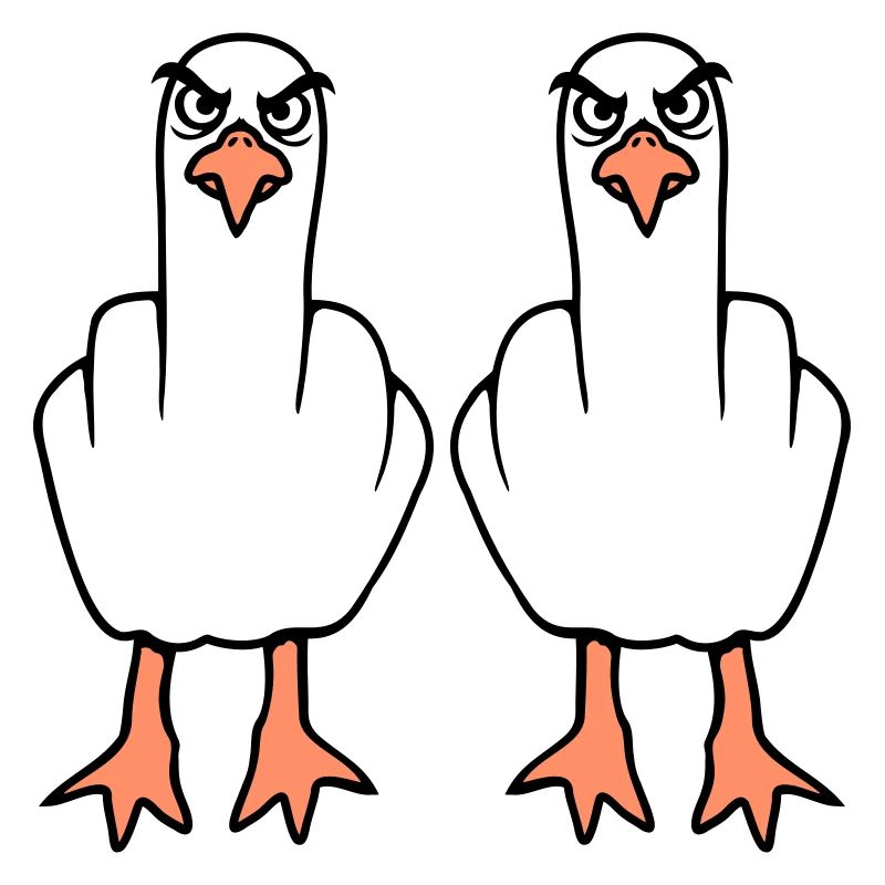 2 Möwen Mittelfinger Beleidigung Stinkefinger Team