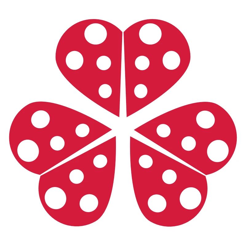 Half Little Ladybug Design
