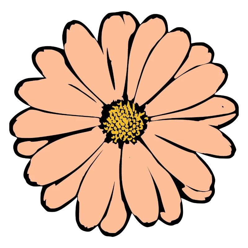 Fleur Pastel Fleurs Fleurs Pastel