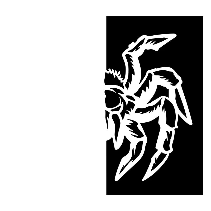 araignée araignée