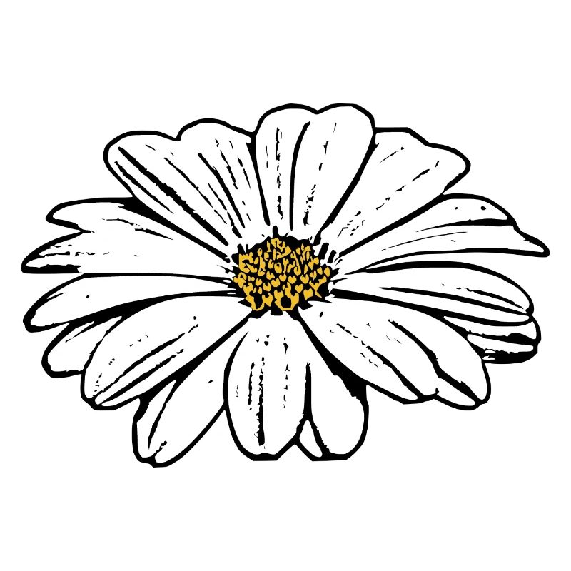 Fleur Blanche Fleurs Blanches Fleurs Blanches Fleurs Blanches
