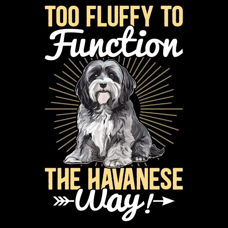 Too fluffy to function the Havanese way