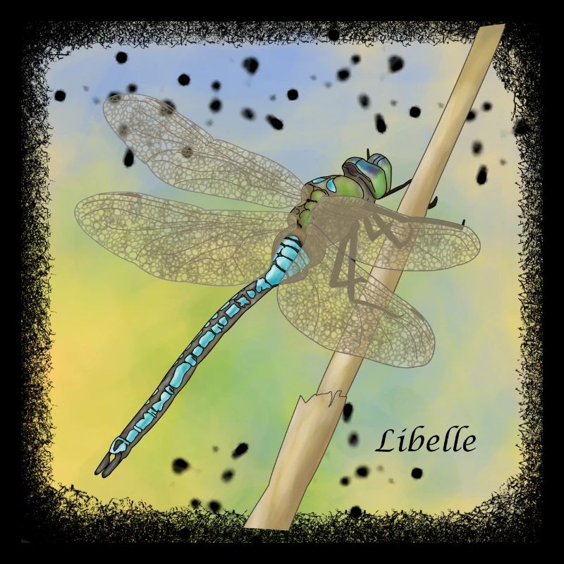 libellule