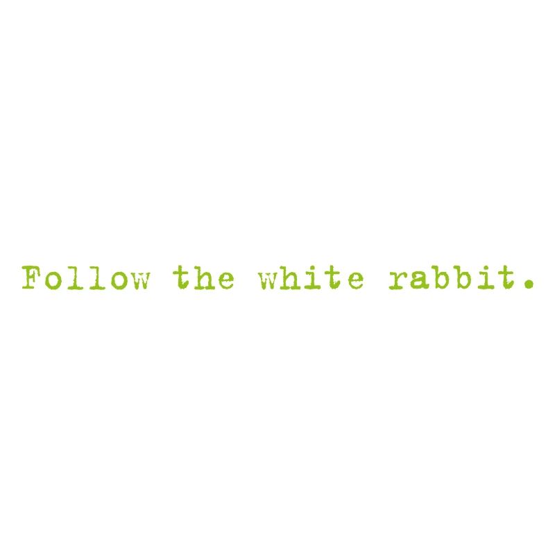 Follow the white rabbit Programming Informatik