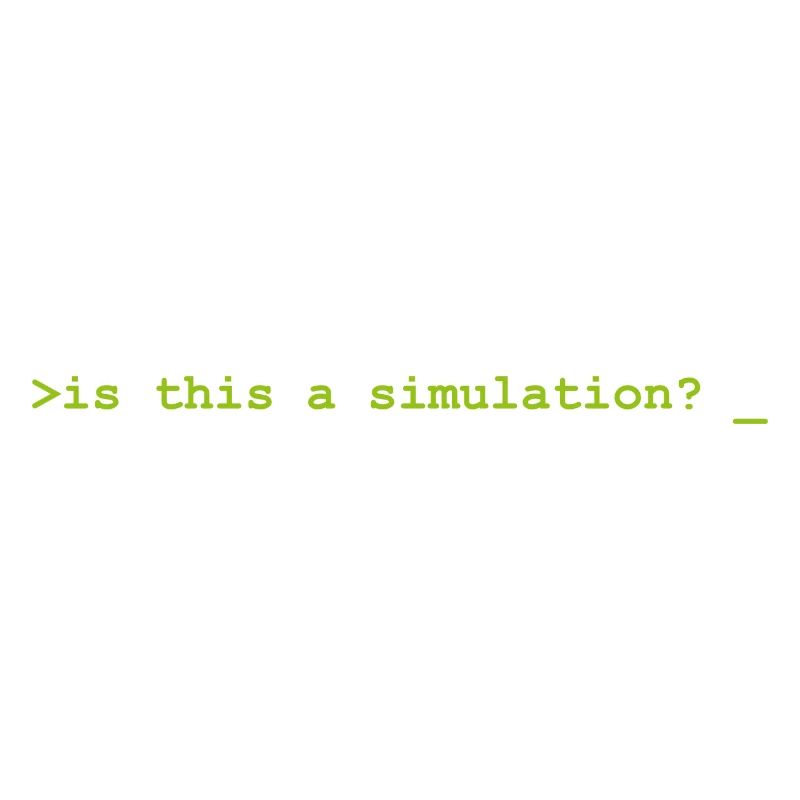Is this a simulation programming informatique