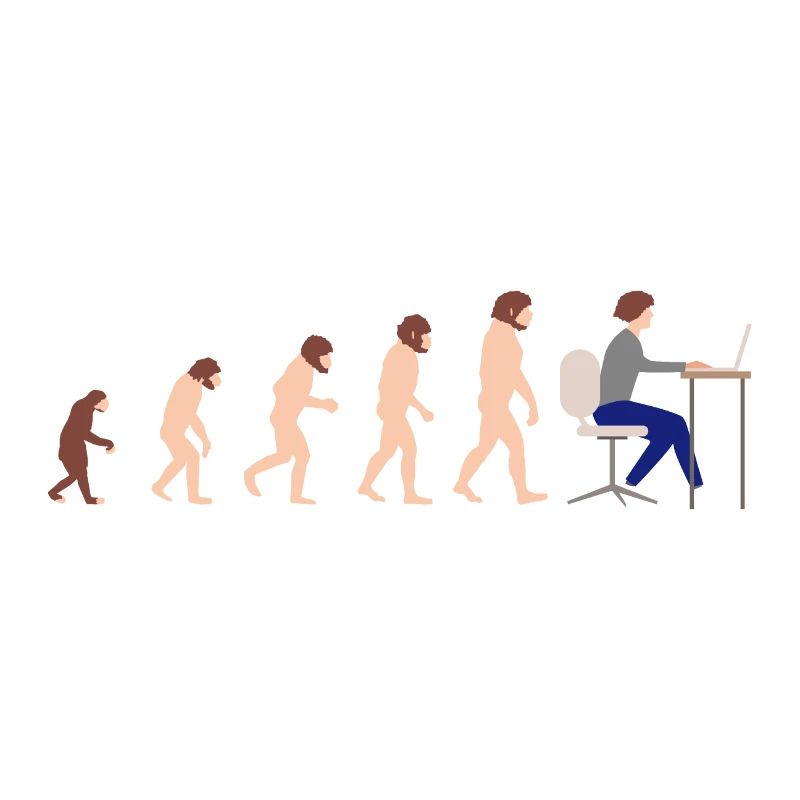 Evolution Entwickler Programmierer Lustiges Gift
