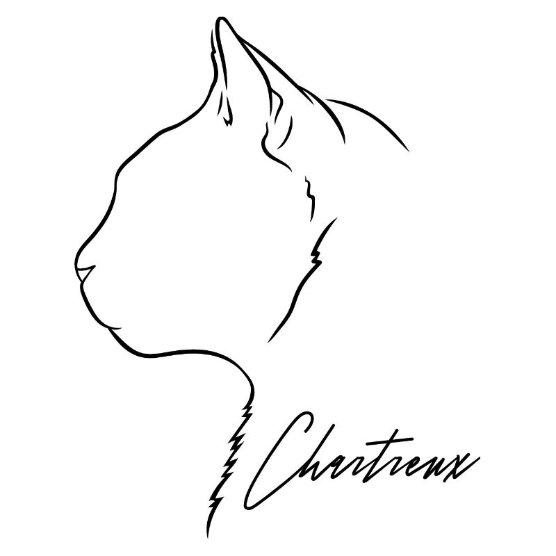 Chartreux Profil Chat Chats Wilsigns