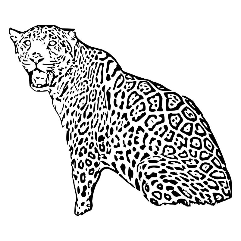 Leopard Black