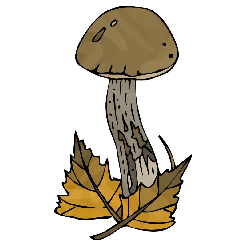 Pilz