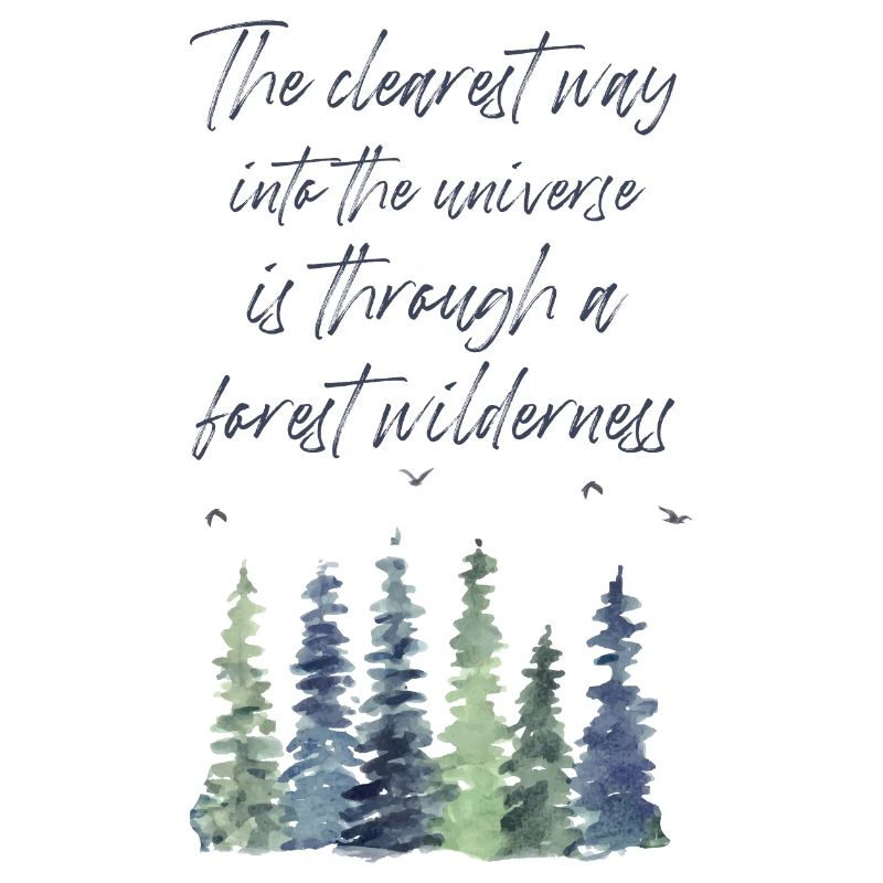 Citation de Forest Le chemin le plus clair dans l’univers