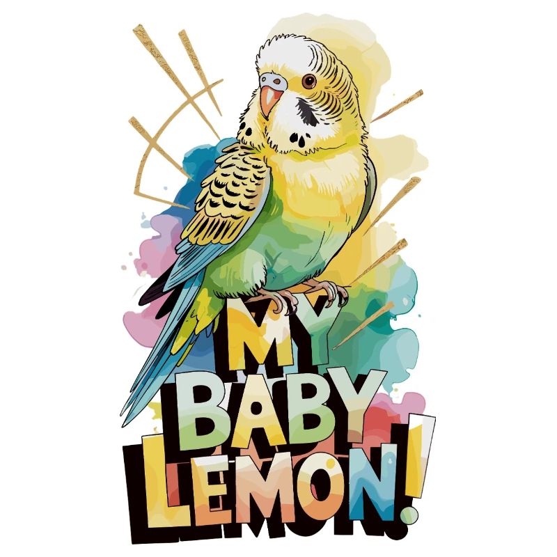 Mon bébé perruche citron qui dit perruche colorée