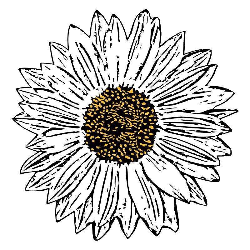 Blume weiß weiße Blumen Geschenk Muttertag Mutter