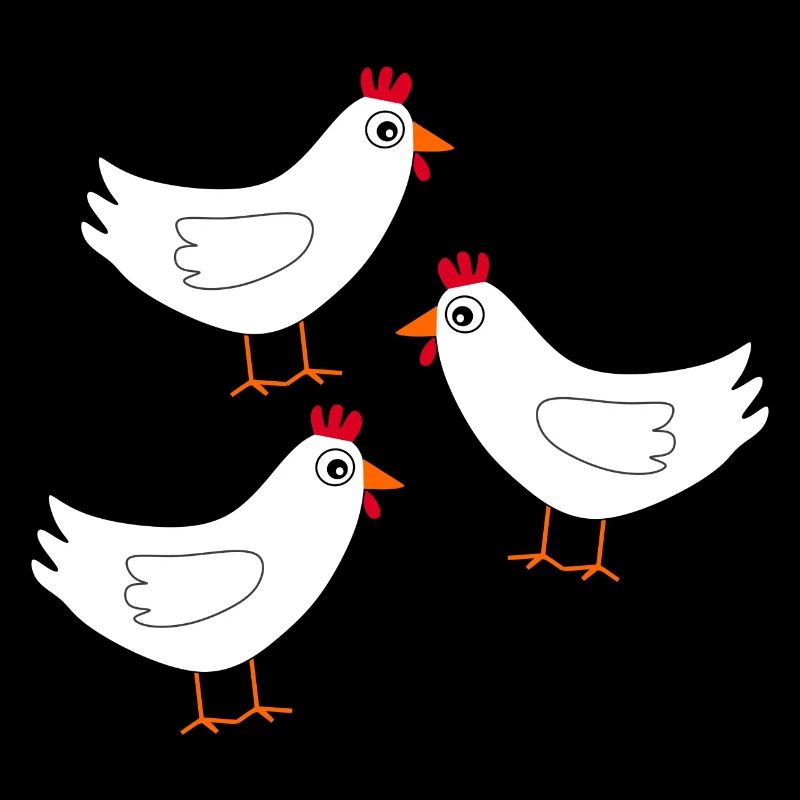 Chicken White White Chickens Hens Easter