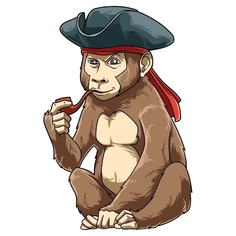 Funny Pirate Monkey Caribbean