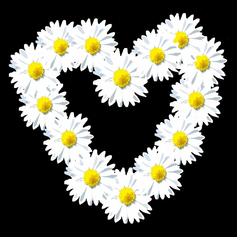 Herz Gänseblume Gänseblümchen Herzlich