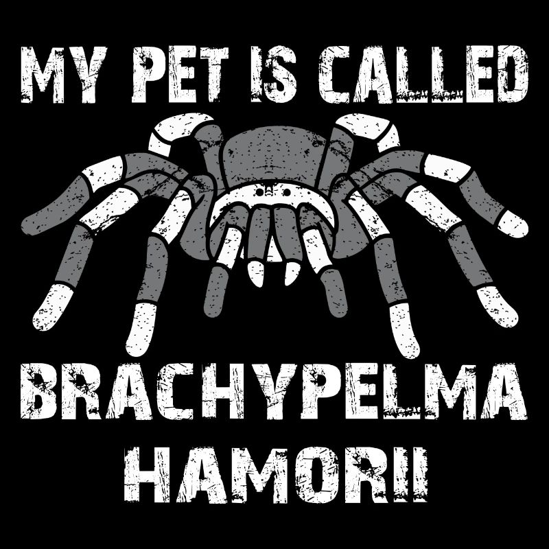 My pet's name is Brachypelma Hamorii
