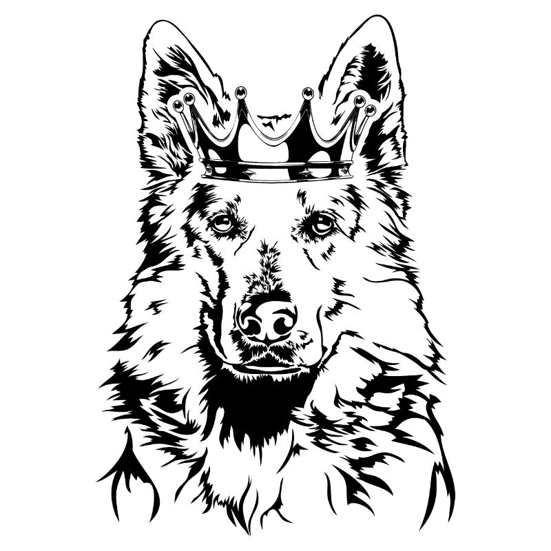 WEISSER SCHWEIZER SCHÄFERHUND Krone Wilsigns Hunde
