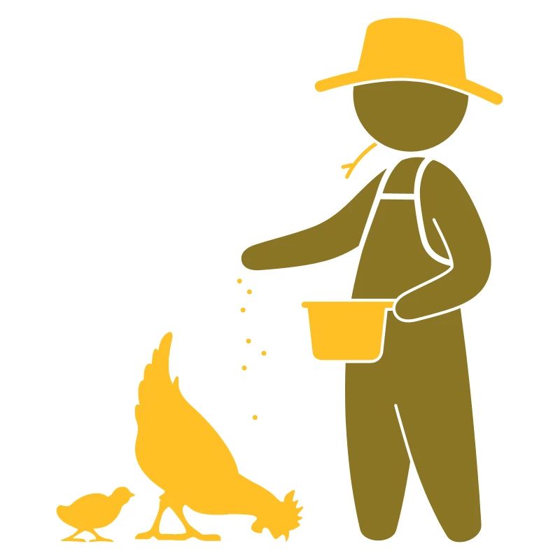 Farmer feeding the chickens