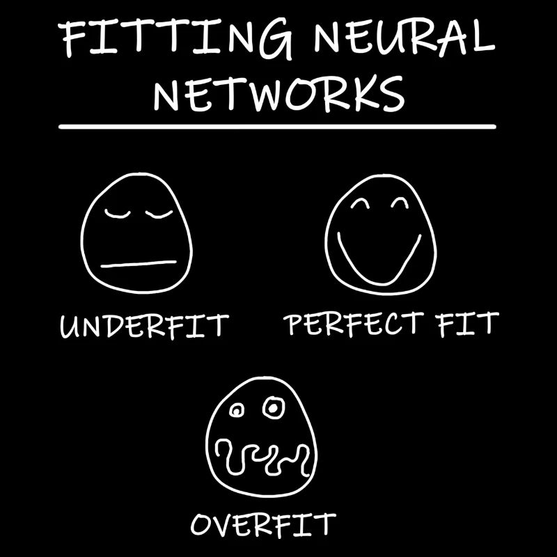 Datascience: Neural Networks Model Fitting (White)