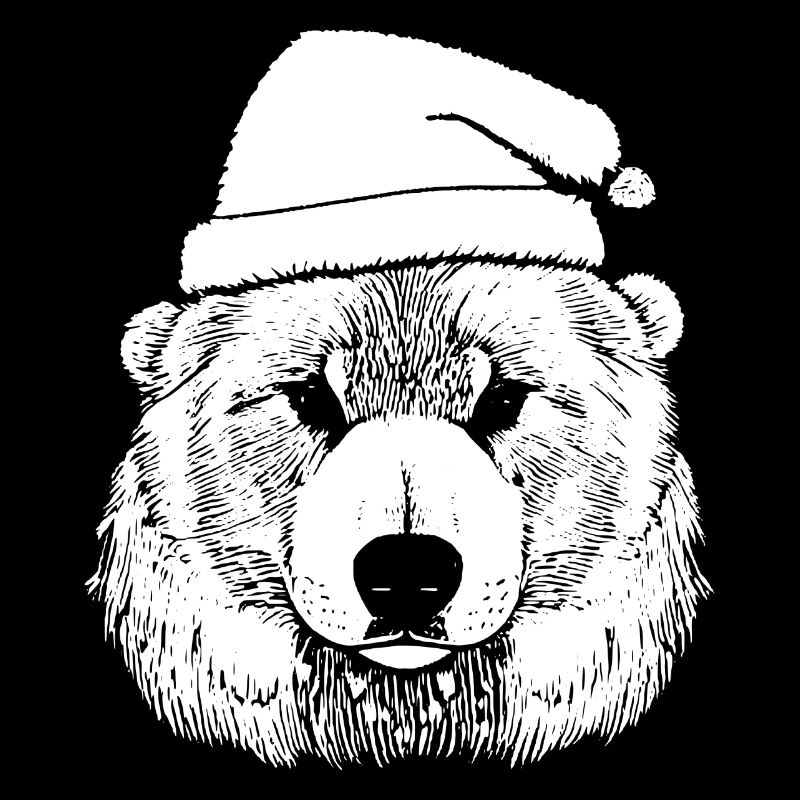 Weihnachten Eisbär Winter Bär Schnee Tier 2