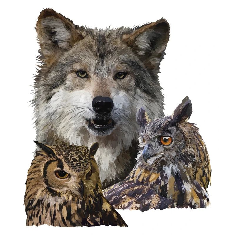 Wolf and Owls