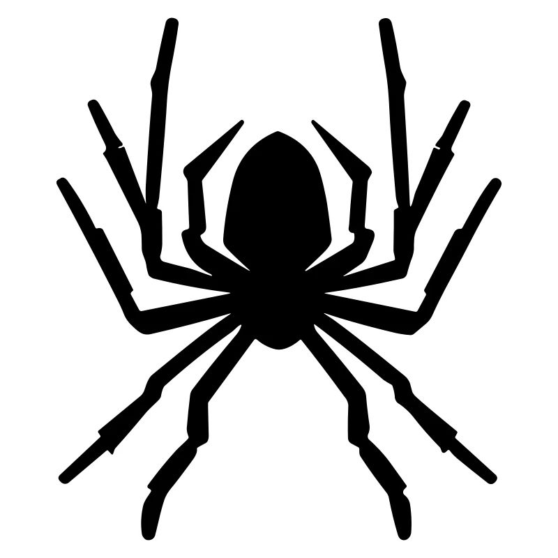 Spinne