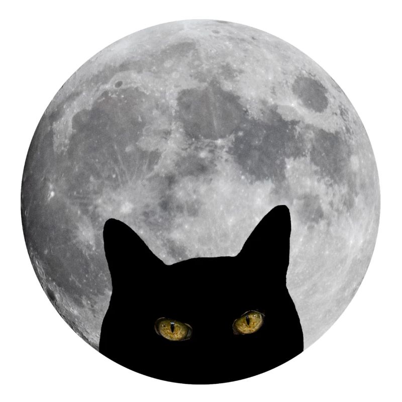 Chat dans la lune