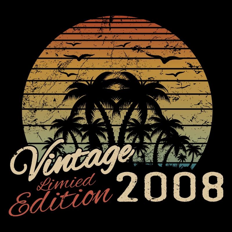 Vintage 2008 Birthday Gift 2008 Retro 2008