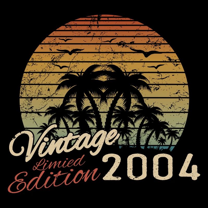 Vintage 2004 Birthday Gift 2004 Retro 2004