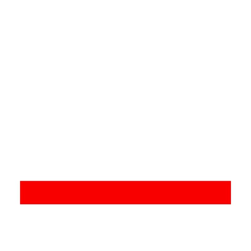 EQUALITY NOW Statement Spruch