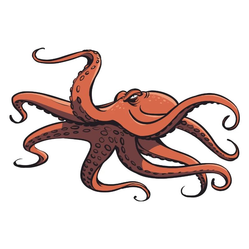 I like octopus - eight tentacles - squid