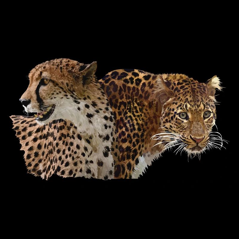 Leopard and cheetah