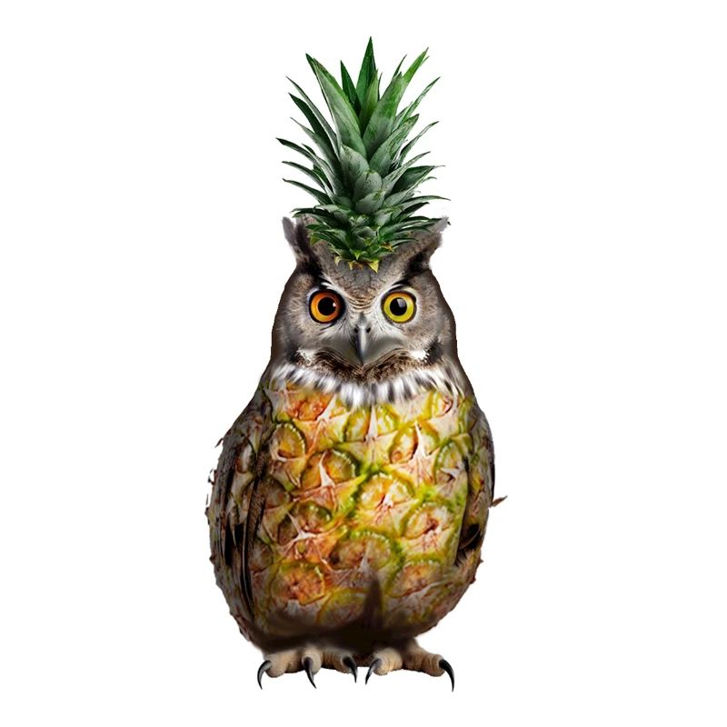 Owl Pineapple
