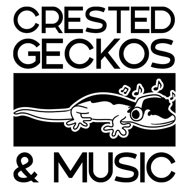 Geckos huppés et notes de musique : de jolis