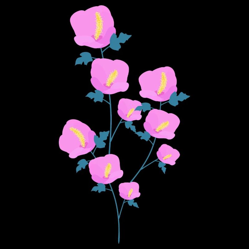 Fleurs d’hibiscus