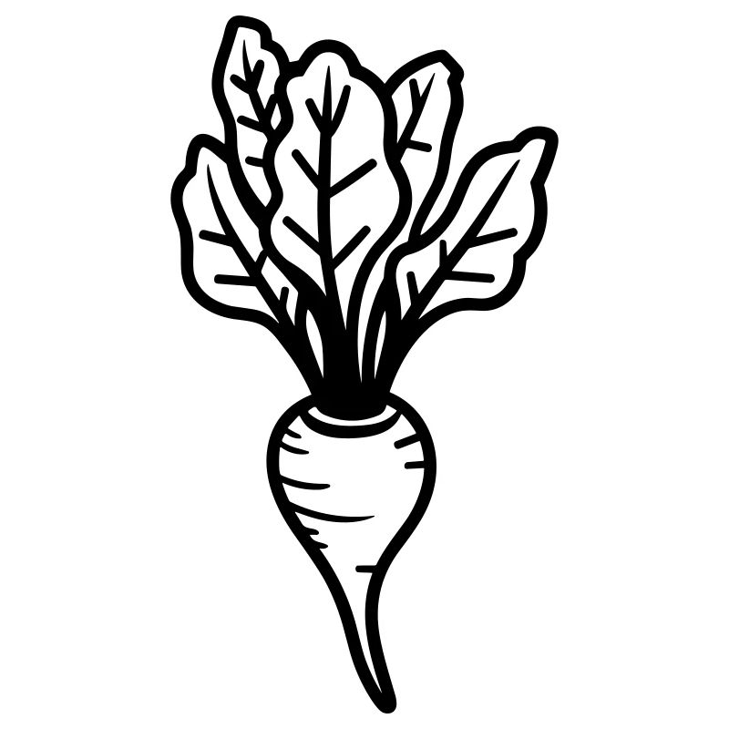 Beet