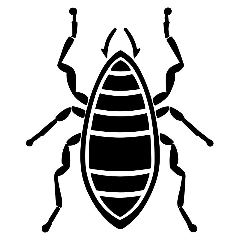 Insecte puce