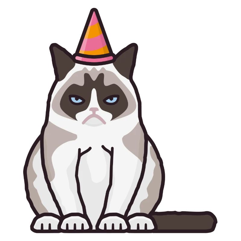 Grumpy, grim cat with party hat