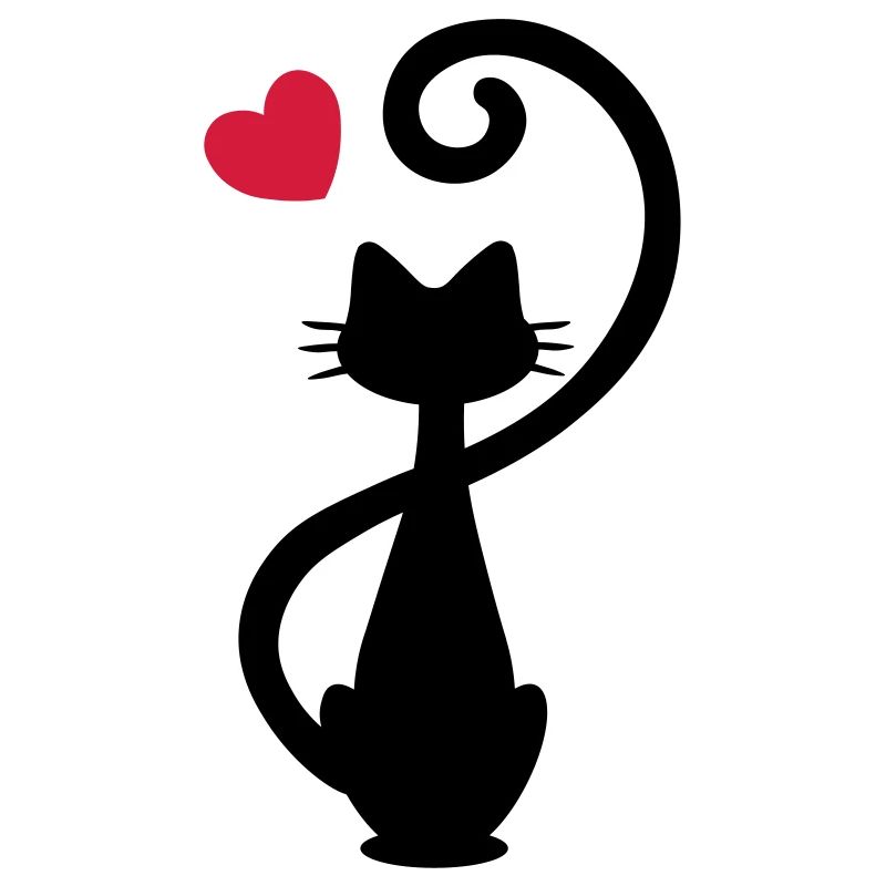 Chat - chat dame - chat - chat - minou